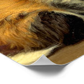 Vintag Ragdoll Halloween Cat Poster (Ecke)