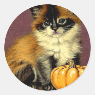 Vintag Ragdoll Halloween Cat Runder Aufkleber