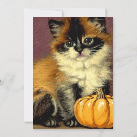 Vintag Ragdoll Halloween Cat Save The Date (Vorderseite)