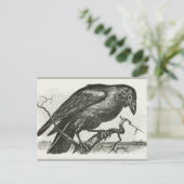 Vintag Raven Woodcut Postkarte (Stehend Vorderseite)