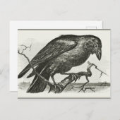 Vintag Raven Woodcut Postkarte (Vorne/Hinten)