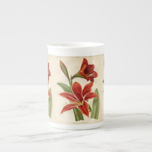 Vintag Red Amaryllis Weihnachtsgeschenk Tasse (Vorderseite)