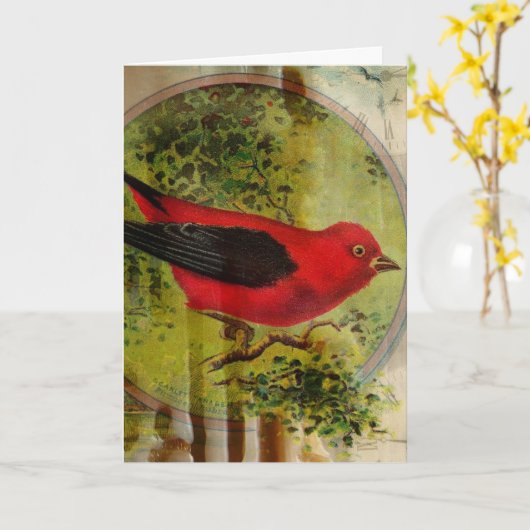Vintag Red Bird Karte (Gelbe Blume)
