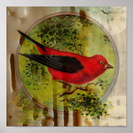Vintag Red Bird Poster