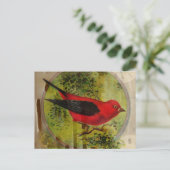 Vintag Red Bird Postkarte (Stehend Vorderseite)