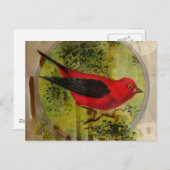 Vintag Red Bird Postkarte (Vorne/Hinten)