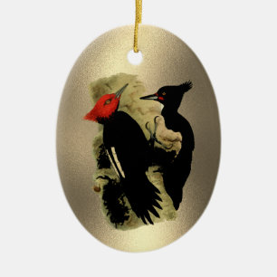 Vintag Red Black Magellanic Woodpecker Weihnachten Keramik Ornament