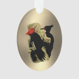 Vintag Red Black Magellanic Woodpecker Weihnachten Ornament