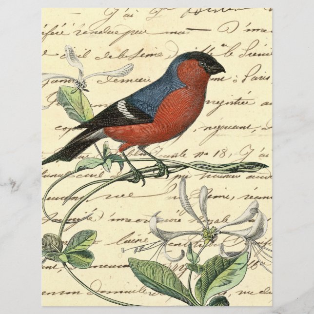 Vintag Red Blue Bird Ephemera Scrapbook Paper (Vorderseite)