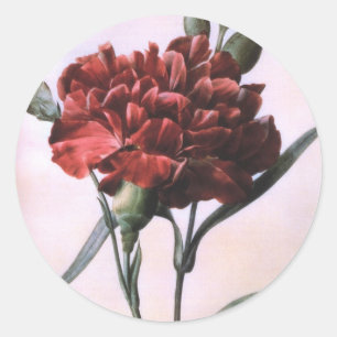 Vintag Red Carnation Runder Aufkleber
