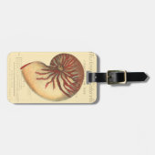 Vintag Red Conch Muschel Gepäckanhänger (Vorderseite horizontal)