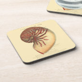 Vintag Red Conch Muschel Getränkeuntersetzer (Linke Seite)