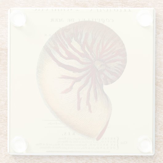 Vintag Red Conch Muschel Glasuntersetzer (Rückseite)