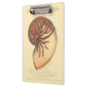 Vintag Red Conch Muschel Klemmbrett (Links)