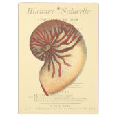 Vintag Red Conch Muschel Klemmbrett (Rückseite)