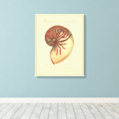 Vintag Red Conch Muschel Leinwanddruck (Insitu (Holzboden))