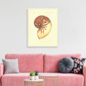 Vintag Red Conch Muschel Leinwanddruck (Insitu (Wohnzimmer))