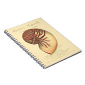 Vintag Red Conch Muschel Notizblock (Rechte Seite)