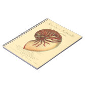 Vintag Red Conch Muschel Notizblock (Linke Seite)