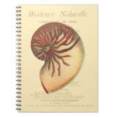 Vintag Red Conch Muschel Notizblock (Vorderseite)