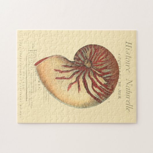 Vintag Red Conch Muschel Puzzle (Horizontal)