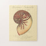 Vintag Red Conch Muschel Puzzle<br><div class="desc">In diesem lebendigen Bild können Sie in Vintagem natürlichen und einzigartigen Stil der roten Conch-Muschel nah sehen. Diese einzigartige Art von Kunst hat schwarz und rot Schatten, um die Spirale dieser conchischen Muschel zu betonen. Holen Sie sich diese Conch-Muschel mit einem sepia Hintergrund auf Ihrem Produkt heute.</div>