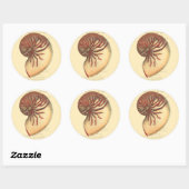 Vintag Red Conch Muschel Runder Aufkleber (Blatt)