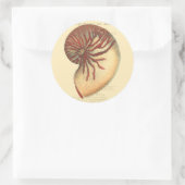 Vintag Red Conch Muschel Runder Aufkleber (Tasche)