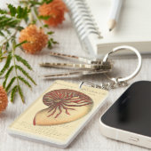 Vintag Red Conch Muschel Schlüsselanhänger (Vorderseite rechts)