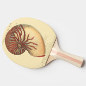 Vintag Red Conch Muschel Tischtennis Schläger (Seitenansicht)