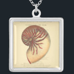 Vintag Red Conch Muschel Versilberte Kette<br><div class="desc">In diesem lebendigen Bild können Sie in Vintagem natürlichen und einzigartigen Stil der roten Conch-Muschel nah sehen. Diese einzigartige Art von Kunst hat schwarz und rot Schatten,  um die Spirale dieser conchischen Muschel zu betonen. Holen Sie sich diese Conch-Muschel mit einem sepia Hintergrund auf Ihrem Produkt heute.</div>