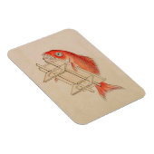 Vintag Red Fish Yokai Magnet (Rechte Seite)