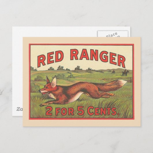 Vintag Red Fox Postkarte (Vorne/Hinten)