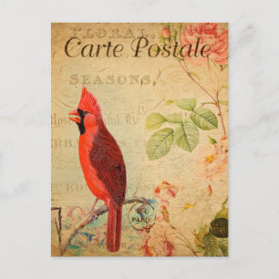 Vintag Red Kardinal Bird Floral Blume Französisch Postkarte