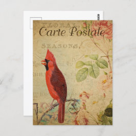 Vintag Red Kardinal Bird Postkarte