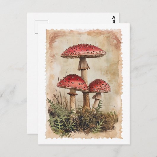 Vintag Red Mushroom Postcard Postkarte (Vorne/Hinten)