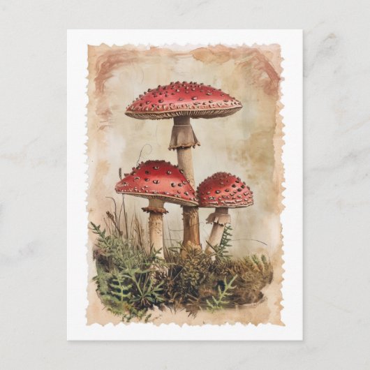Vintag Red Mushroom Postcard Postkarte (Vorderseite)
