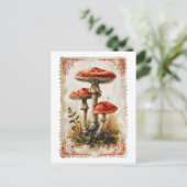 Vintag Red Mushroom Postcard Postkarte (Stehend Vorderseite)