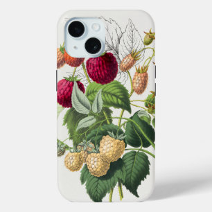 Vintag Red Strawberry Art Case-Mate iPhone Hülle