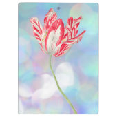 Vintag Red Tulip Clipboard Klemmbrett (Rückseite)