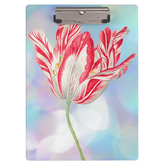 Vintag Red Tulip Clipboard Klemmbrett (Vorderseite)