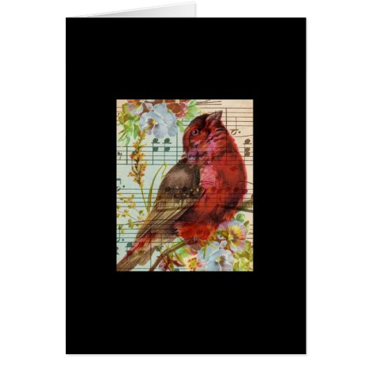 Vintag Redbird Collage (Vorne)