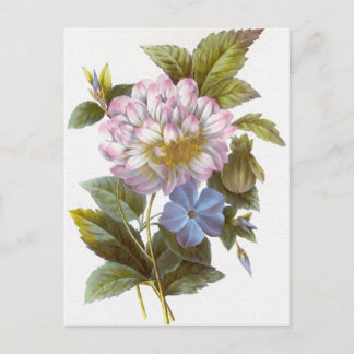 Vintag Redoute Blume Bouquet Postkarte
