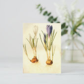 Vintag Redoute Crocus Postcard Postkarte (Stehend Vorderseite)