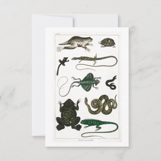 Vintag Reptiles Snake Lizard RSVP Karte (Vorderseite)