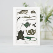 Vintag Reptiles Snake Lizard RSVP Karte (Stehend Vorderseite)