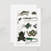 Vintag Reptiles Snake Lizard RSVP Karte (Vorne/Hinten)