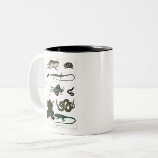 Vintag Reptiles Snake Lizard Zweifarbige Tasse (Vorderseite Links)