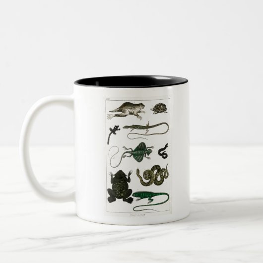 Vintag Reptiles Snake Lizard Zweifarbige Tasse (Links)
