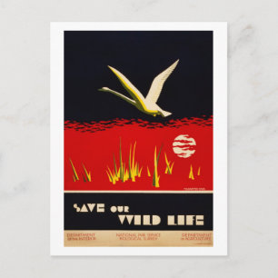 Vintag restauriert rettete unser Wildlife Trompete Postkarte